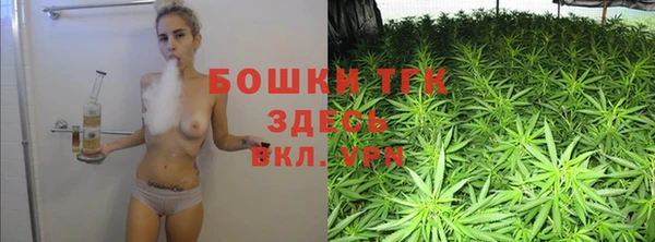 трава Пересвет