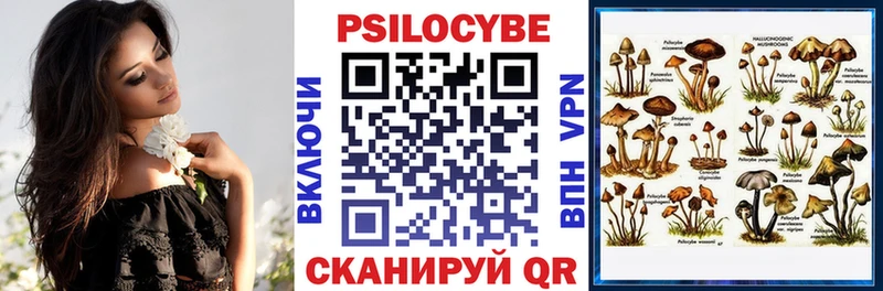 Псилоцибиновые грибы MAGIC MUSHROOMS  Полевской 